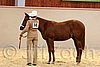 QH062_0243n.jpg