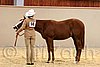 QH062_0244n.jpg