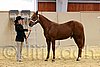 QH062_0245n.jpg