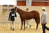 QH062_0246n.jpg