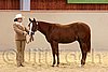 QH062_0247n.jpg