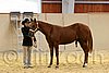 QH062_0248n.jpg