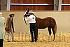 QH062_0249n.jpg
