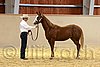 QH062_0250n.jpg