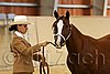 QH062_0253n.jpg