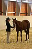 QH062_0254n.jpg