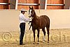 QH062_0255n.jpg
