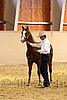 QH062_0256n.jpg