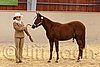 QH062_0257n.jpg
