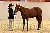QH062_0258n.jpg