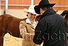 QH062_0263n.jpg