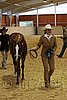 QH062_0264n.jpg