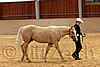 QH062_0267n.jpg