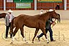 QH062_0269n.jpg