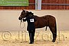 QH062_0270n.jpg