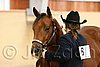 QH062_0272n.jpg