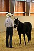 QH062_0274n.jpg