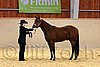 QH062_0275n.jpg