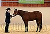 QH062_0276n.jpg