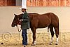 QH062_0277n.jpg