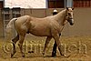 QH062_0278n.jpg