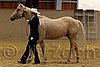 QH062_0279n.jpg