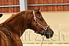 QH062_0280n.jpg