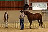 QH062_0292n.jpg
