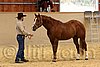 QH062_0293n.jpg