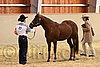 QH062_0294n.jpg