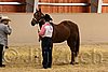 QH062_0295n.jpg