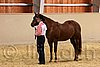 QH062_0296n.jpg