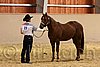 QH062_0297n.jpg