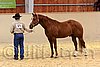 QH062_0298n.jpg