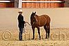 QH062_0299n.jpg