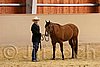 QH062_0300n.jpg