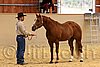 QH062_0301n.jpg