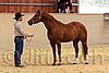 QH062_0302n.jpg