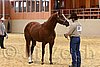 QH062_0304n.jpg