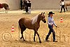 QH062_0314n.jpg