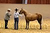 QH062_0315n.jpg