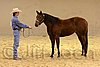 QH062_0316n.jpg
