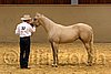 QH062_0317n.jpg