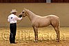 QH062_0318n.jpg