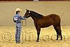 QH062_0319n.jpg