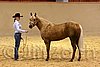 QH062_0321n.jpg