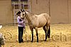 QH062_0322n.jpg
