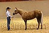 QH062_0323n.jpg