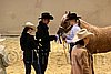 QH062_0325n.jpg