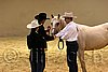 QH062_0326n.jpg